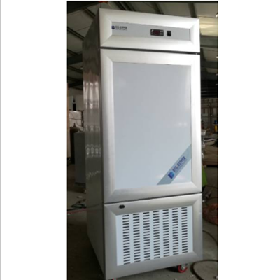 -40°C Low Temperature Freezer (Upright) 