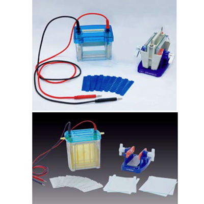 Double Vertical Electrophoresis Cell (Injection Molding)